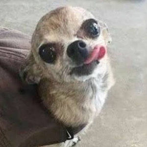 Meet your Posher, Marcio